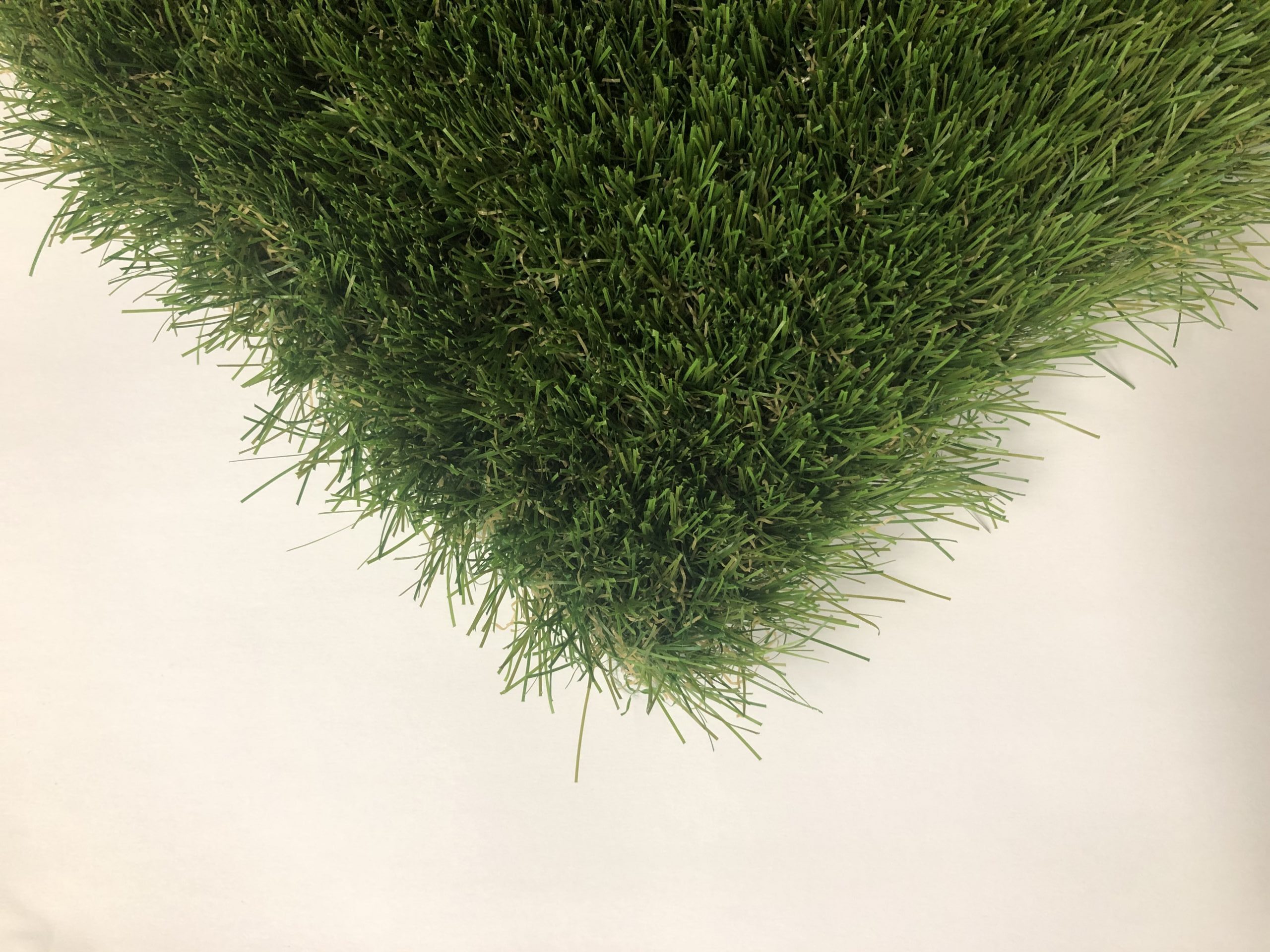elitegrass1